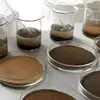 Soil